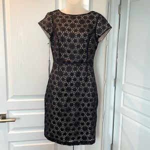 Susana Monaco lace dress